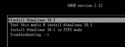 ブートメニューはInstall Almalinux 10.1を選択する